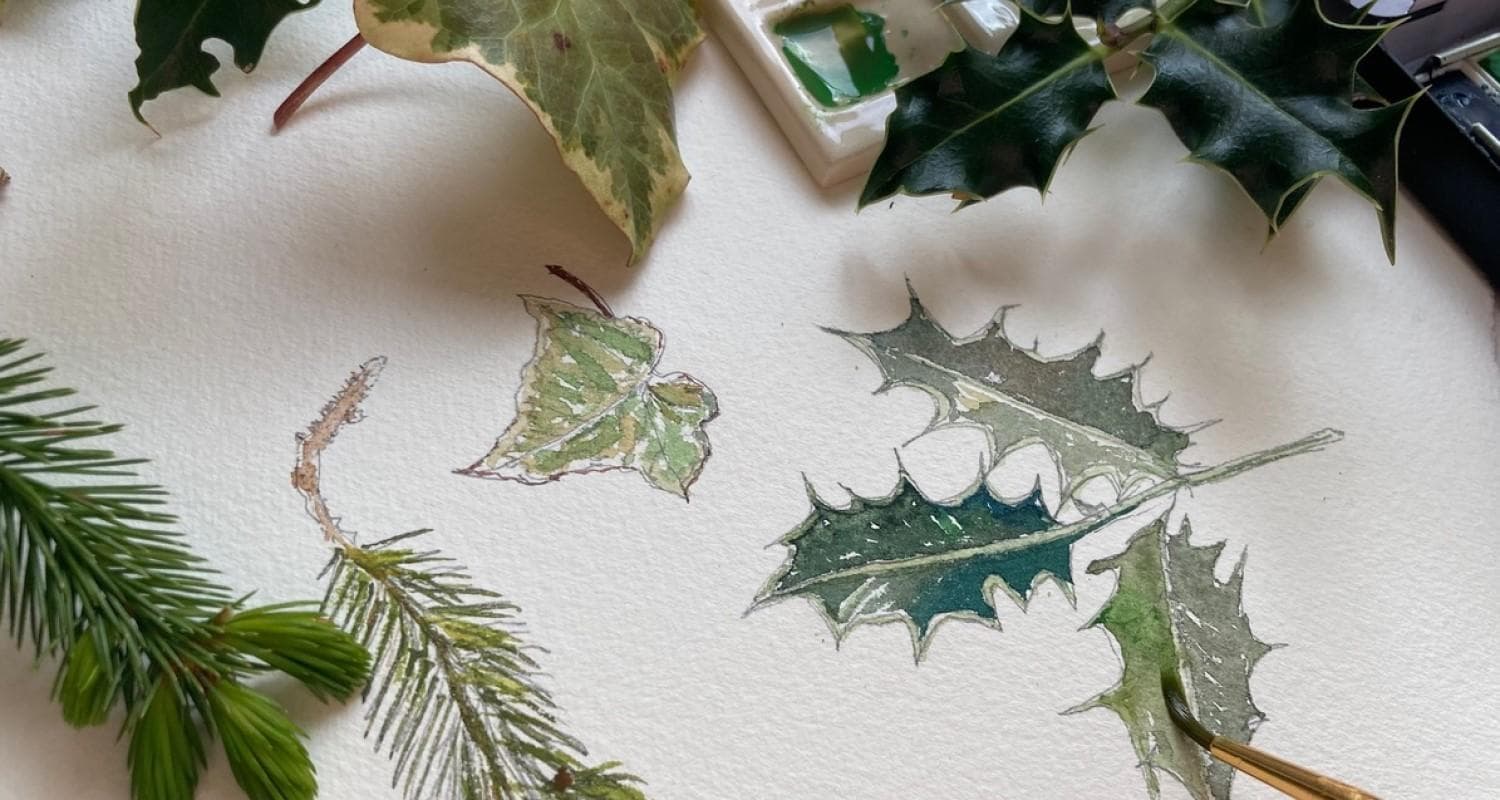 Watercolour illustration featuring a variety of leaves and pine needles in soft green colours