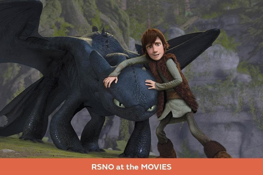Shot from film How to Train Your Dragon