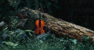 Violin on the forest floor beside a fallen tree